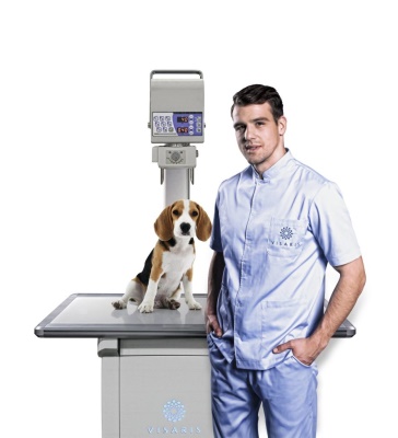 Vision VET DR
